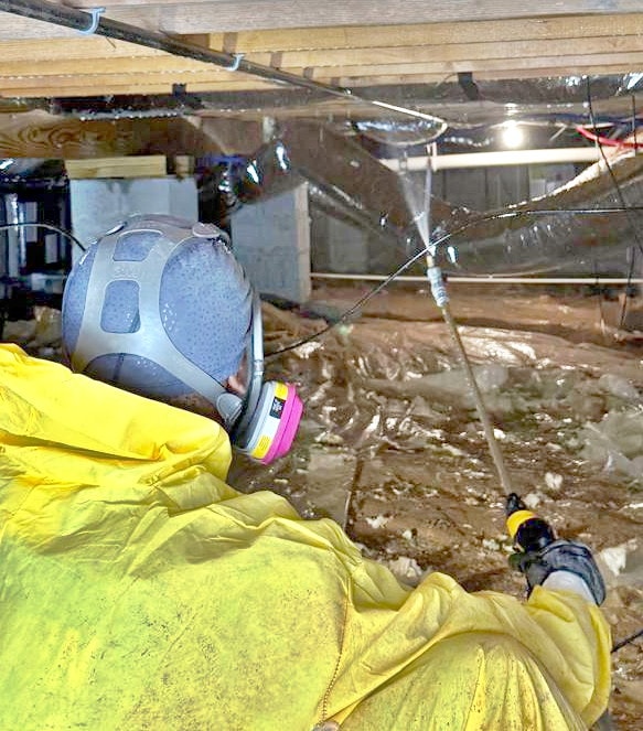 Mold remediation technician in PPE spraying treatment
